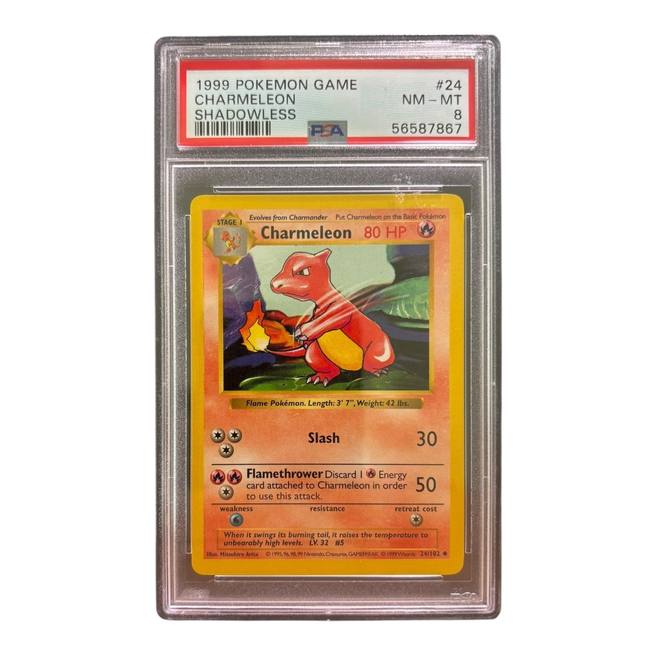 1999 Charmeleon – Base Set Shadowless #24/102 (PSA 8)